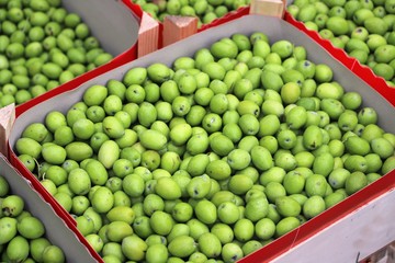 close up of olive boxes on display at the market