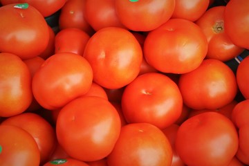 closeup of tomatoes market exposure