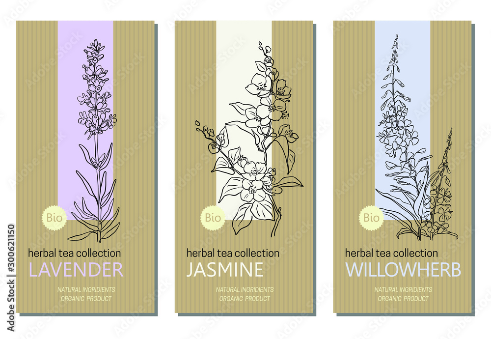 Wall mural Vector set of herbal tea labels with herbs and plants sketches: jasmine, lavender and willow herb. Packaging template. Healthy food, bio, organic, natural product, herbal tea.