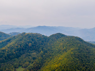 Aerial view mountain with trees in autumn