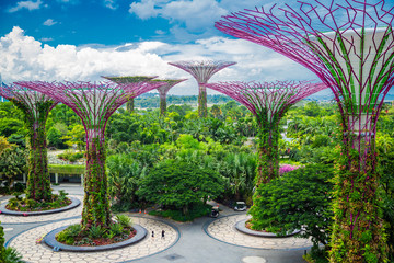 Singapore Landscape 09