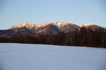 朝日に映える八ヶ岳連峰と雪原