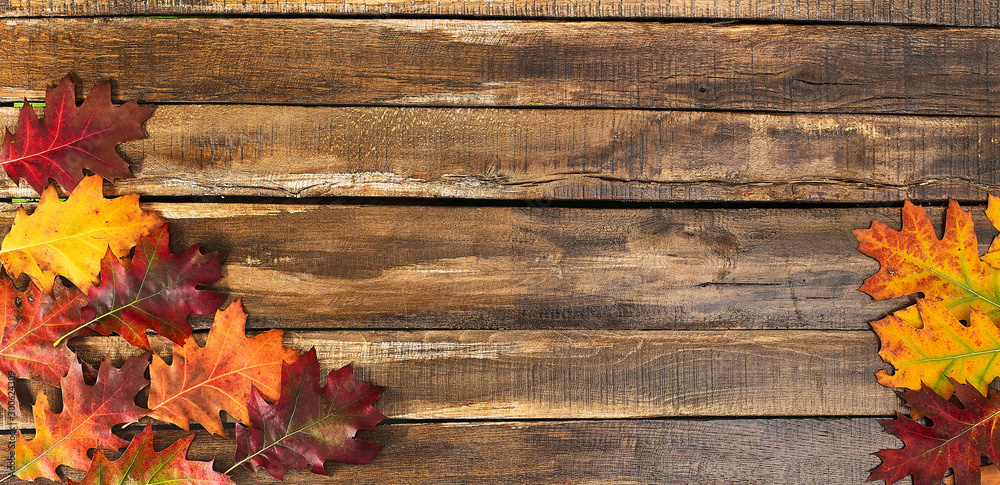 Canvas Prints autumn maple leaves on top view wooden table. horizontal frame with corner