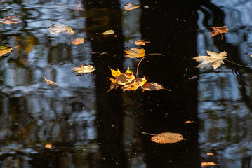 Zespół pałacowo-parkowy Lubomirskich, Białystok, Dojlidy, Podlasie © podlaski49