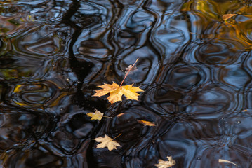 Zespół pałacowo-parkowy Lubomirskich, Białystok, Dojlidy, Podlasie © podlaski49