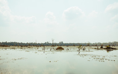 Lake with old trees sticking out of the water in Cambodia near ancient Angkor Wat Temple Ruin Complex