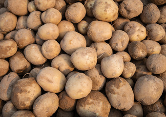 fresh potatoes.