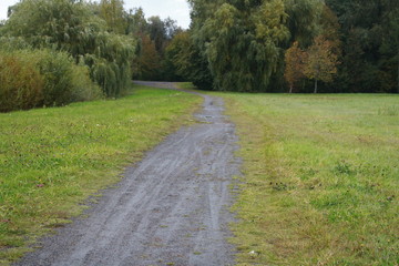 path in park