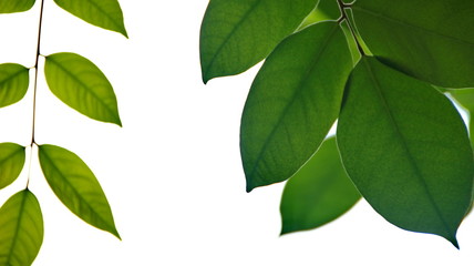 The blue sky is cloudy, cloudy and will be dark, photographed at midday