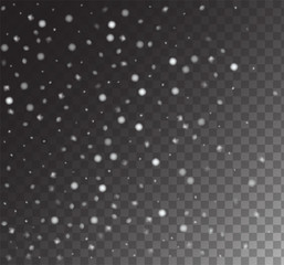 Winter Snowfall Ice Texture Vector Transparent Background. Realistic Snow Confetti Falling Down, Isolated Snowflake Scatter. Random Moving Realistic Snow Confetti, Christmas New Year Frost Decoration.