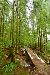 Fototapeta premium Norvan falls hike in north Vancouver