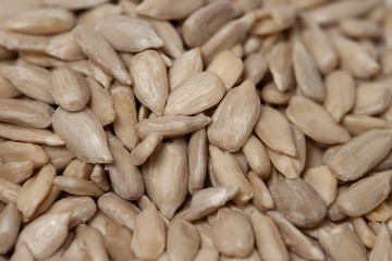Peeled sunflower seeds macro closeup