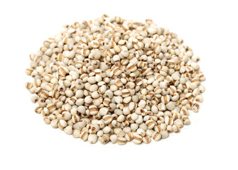 Job's tears on white background