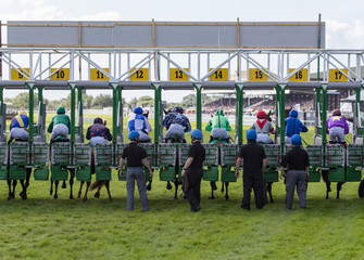 Horse racing action, Race horses sprinting out of the start gate, 