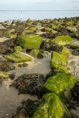 Die Nordsee bei Dornumersiel, im Vordergrund Steine, Sand und Seetang