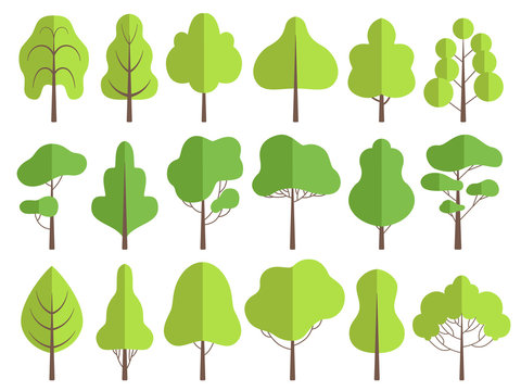 Flat trees. Nature green collection of plants vector trees illustrations. Forest tree natural green, set of plants