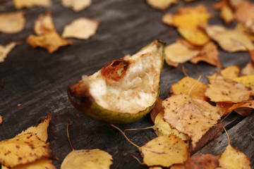 A quarter of a flaccid apple slice on a wooden table with yellow birch foliage.