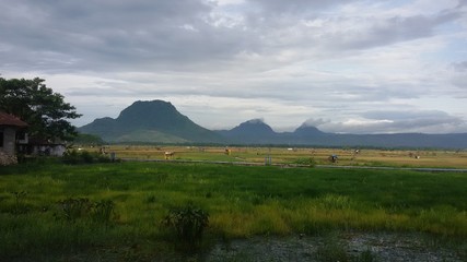 Obraz premium landscape with mountains