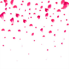 Fototapeta na wymiar Pink falling petals falling. Rose flower pastel background.