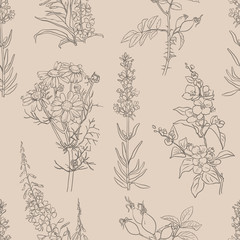 Fototapeta premium Herbal seamless pattern with herbs and plants sketches: jasmine, lavender, chamomile, willow herb and rose hip. Vector background. Healthy food, bio, organic, natural product, herbal tea, spices