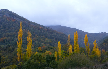 Autumn in the Arce Valley, Pyrenees of Navarra