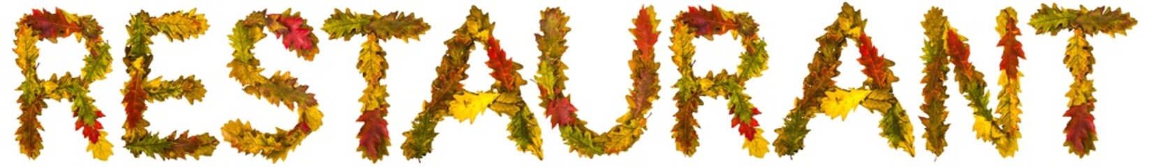 Restaurant. Text made by autumn leaves. English alphabet. Oak foxes. Font for design. Natural colors. Natural nature shot. Autumn design. True natural beauty.
