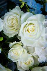 bouquet of roses