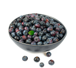 fresh blueberries in a black bowl