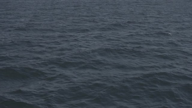 Surface of water, panoramic view of city from the sea, s-log ungraded