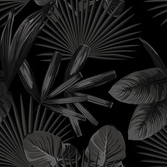 Monochrome black white tropical illustration