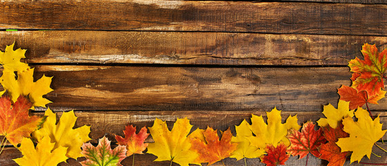 Autumn maple leaves on top view wooden table. Horizontal frame with foliage on bottom edge