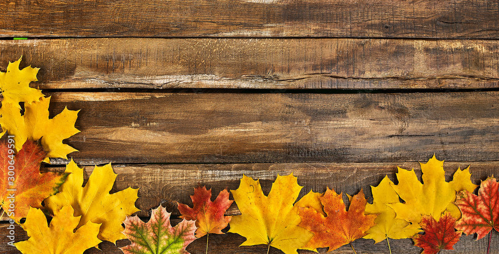 Poster autumn maple leaves on top view wooden boards. horizontal frame with leafage on bottom