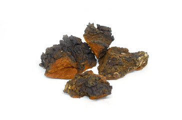 three pieces of wood birch fungus chaga isolated on white background