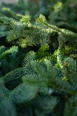 Textured background from fresh green pine fir branches, Christmas decorations background. Selective focus, sun light