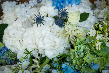 bouquet of flowers on blue background