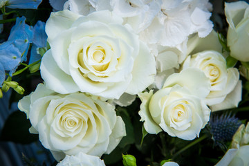 bouquet of roses