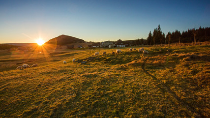 Góry Izerskie © BARONPHOTOGRAPHY.EU