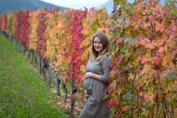 Pregnant woman standing in autumn vineyard