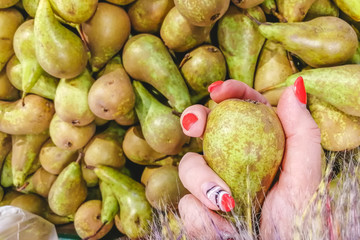 lots of green pears. pears storage. Bunch of green delicious pears in a box in supermarket. Girl take one pear in her hand