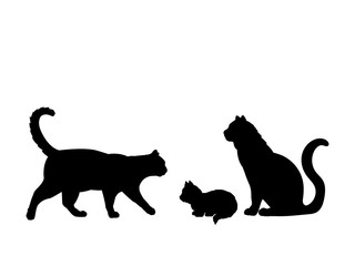 Cat family. Silhouettes of pet animals