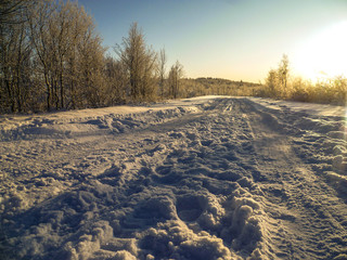 Fototapeta na wymiar Winter road in the forest, covered with snow. A frosty, clear day in the north of Russia.
