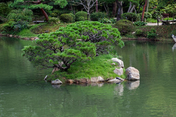 Fototapeta na wymiar Beautiful japanese traditional park in summer time