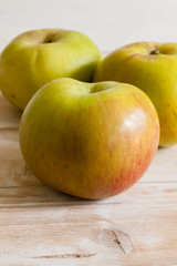 Bramley cooking apples or Malus domestica 'Bramley's Seedling' a popular British variety for making pies and desserts