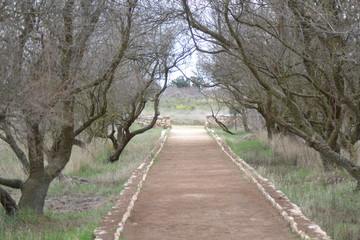De viaje por Castilla La Mancha