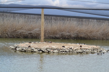 De viaje por Castilla La Mancha