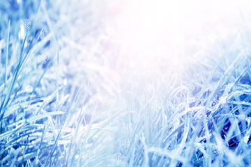 Blue tinted winter background, morning frost on the grass, sunlight with copy space