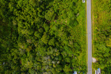 Aerial drone image of Beautiful Rural with local house and green forest in surrounding