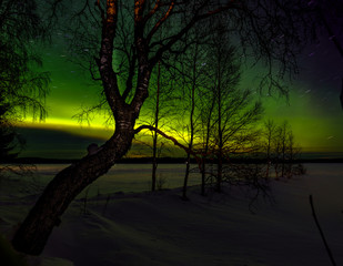 green lights at lapland