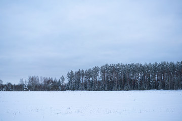 Winter scene 10