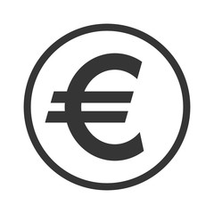 Vector Euro money icon isolated.